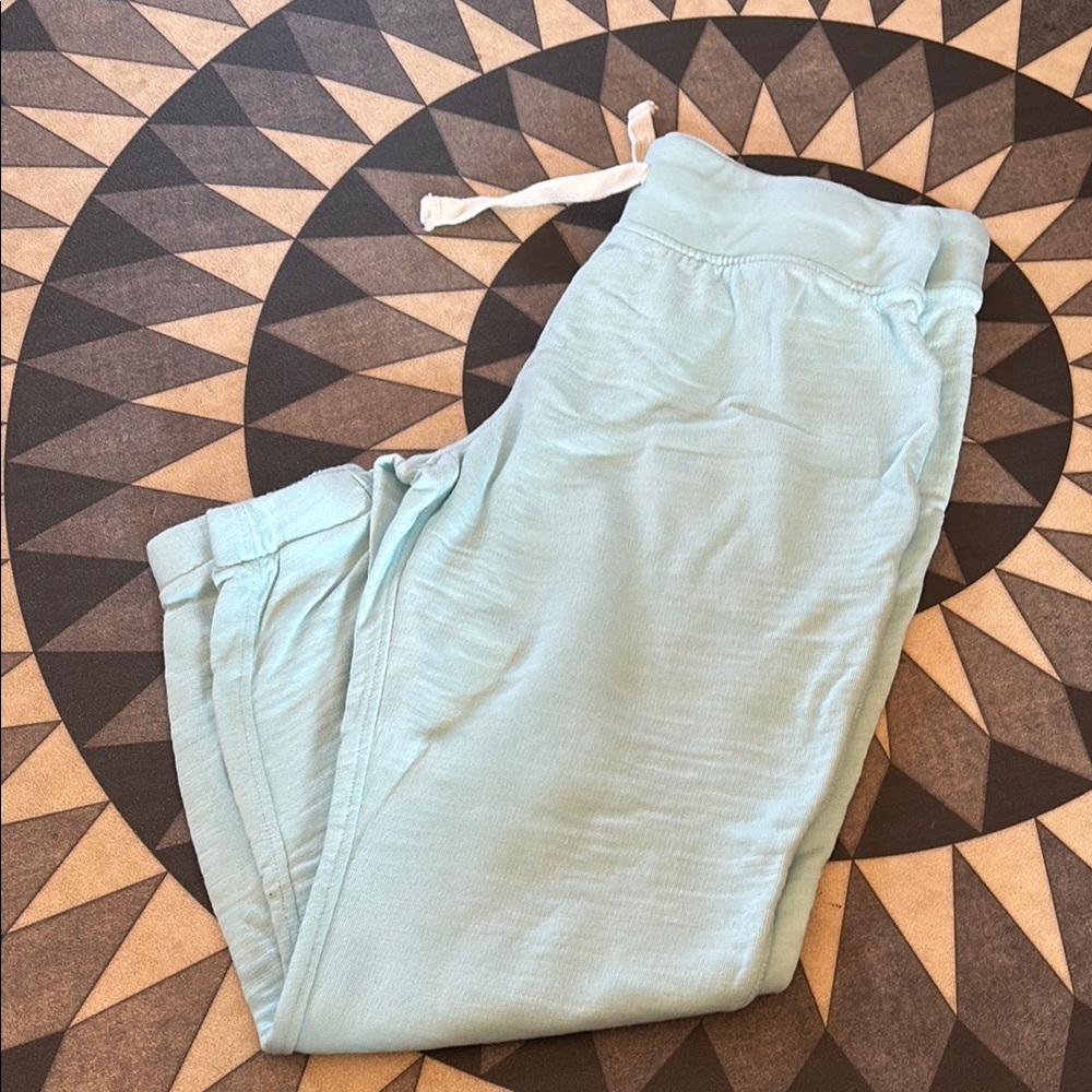 J. Crew Light Blue Track Pants
